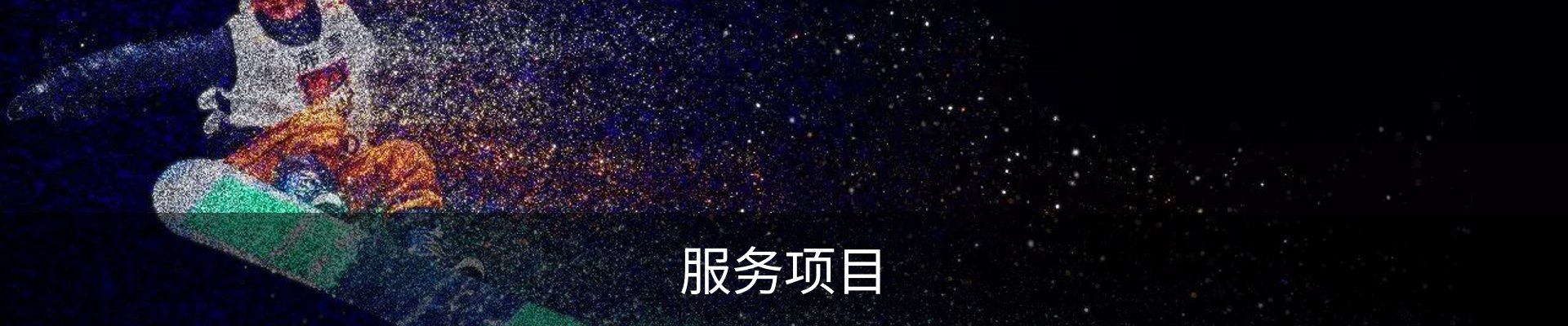 服务项目
