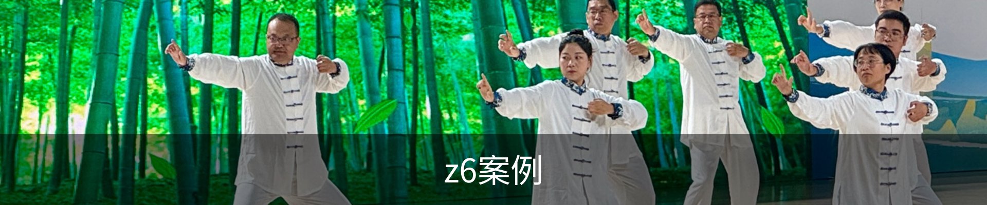 z6案例