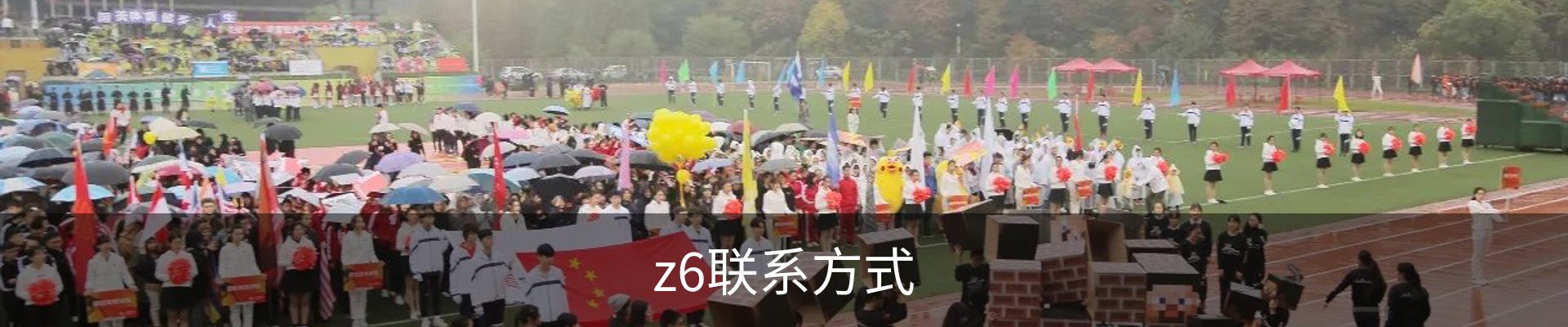 z6联系方式